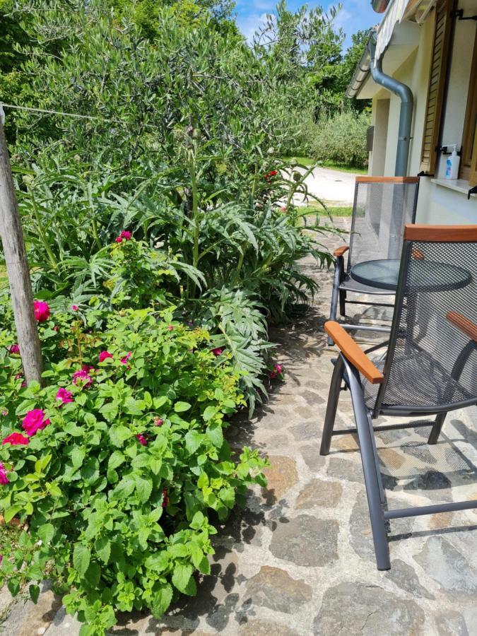 Apartma Istra Zora Sečovlje Eksteriør billede