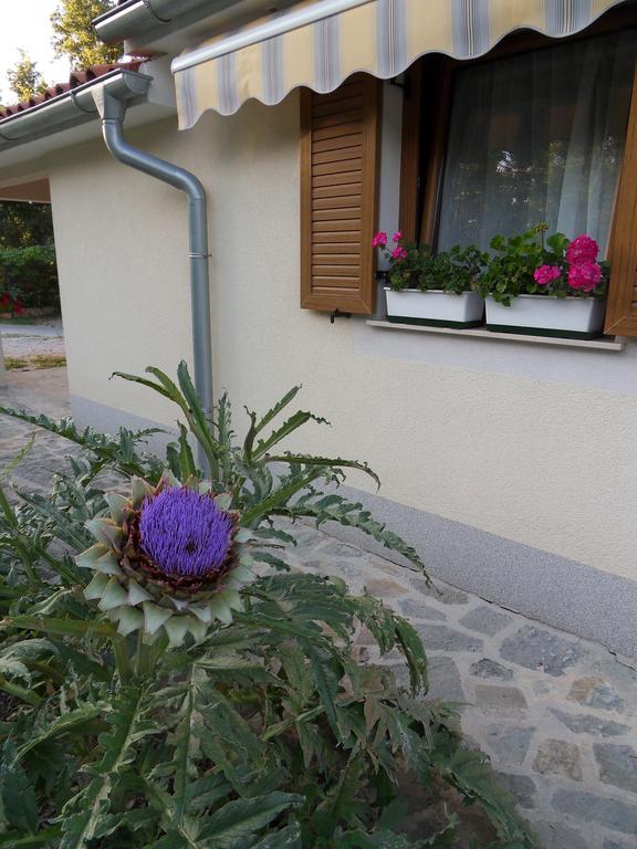 Apartma Istra Zora Sečovlje Eksteriør billede