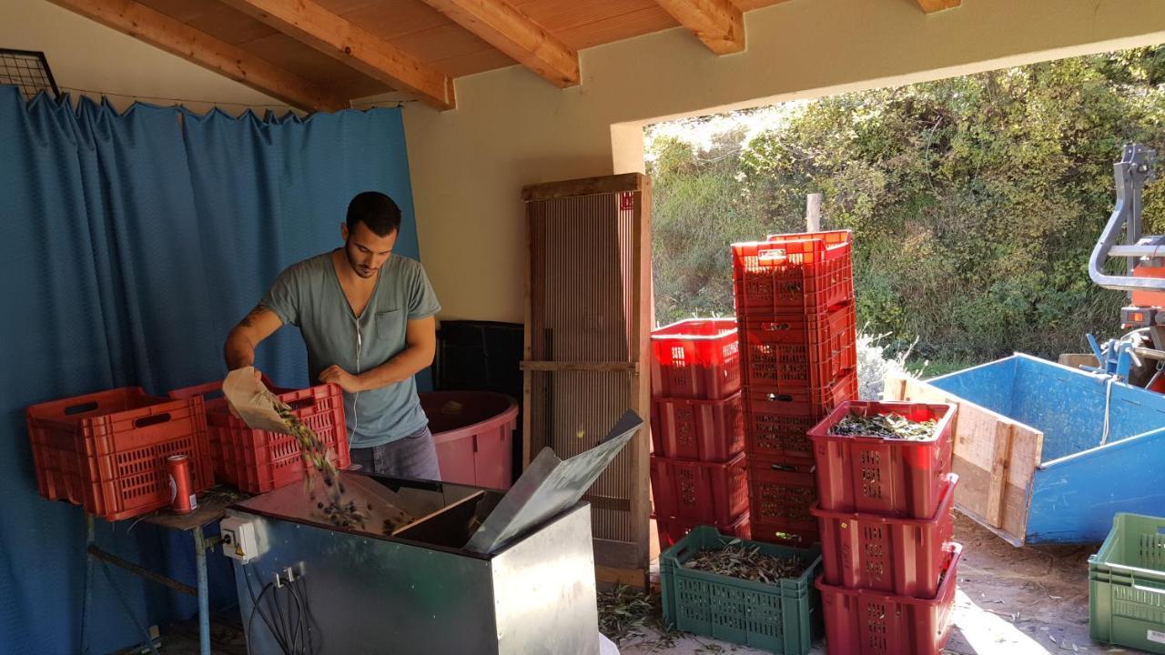 Apartma Istra Zora Sečovlje Eksteriør billede